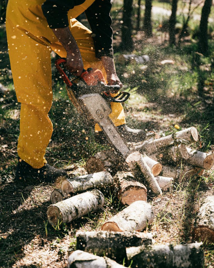 pexels-karolina-grabowska-4205988-scaled-e1740346065337-819x1024 Unser Team