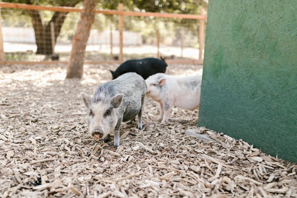 pexels-rdne-7782315-1024x683 Unser Team